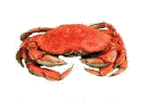 crab