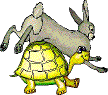hare and tortoise