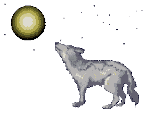 wolf